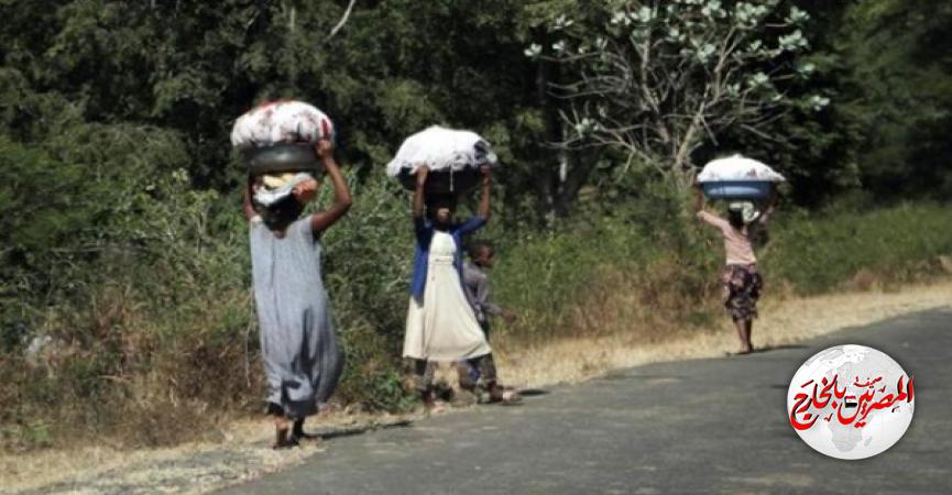 المصريين بالخارج