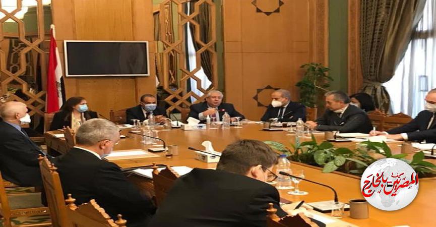 المصريين بالخارج