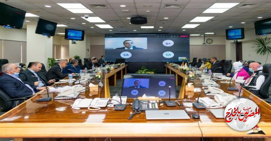 المصريين بالخارج