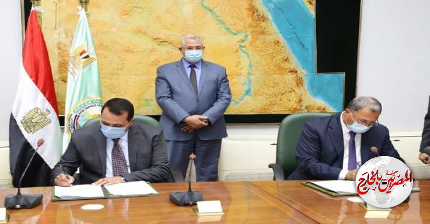 المصريين بالخارج