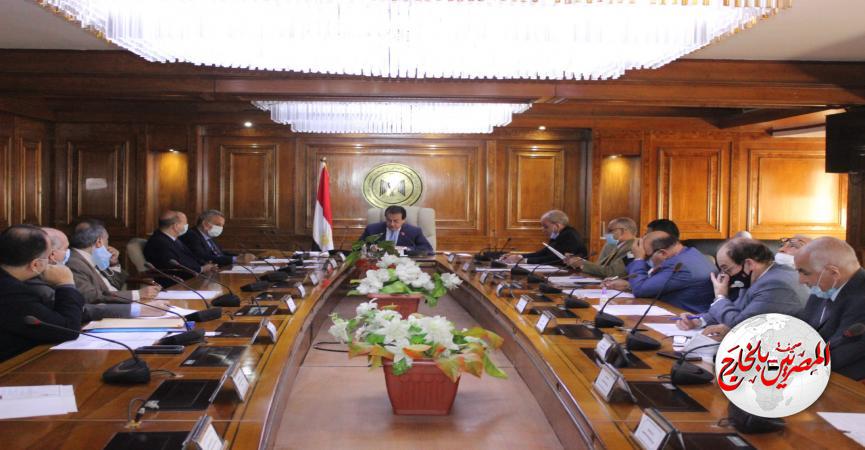 المصريين بالخارج