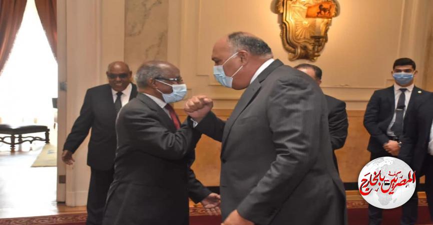 المصريين بالخارج