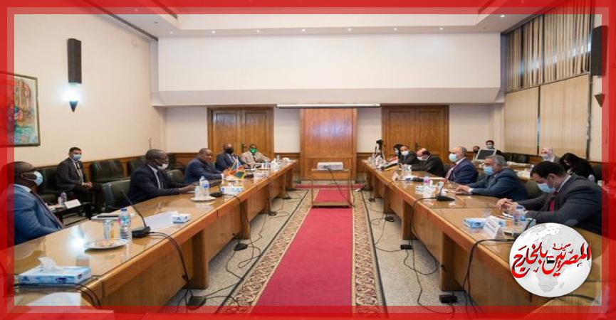 المصريين بالخارج