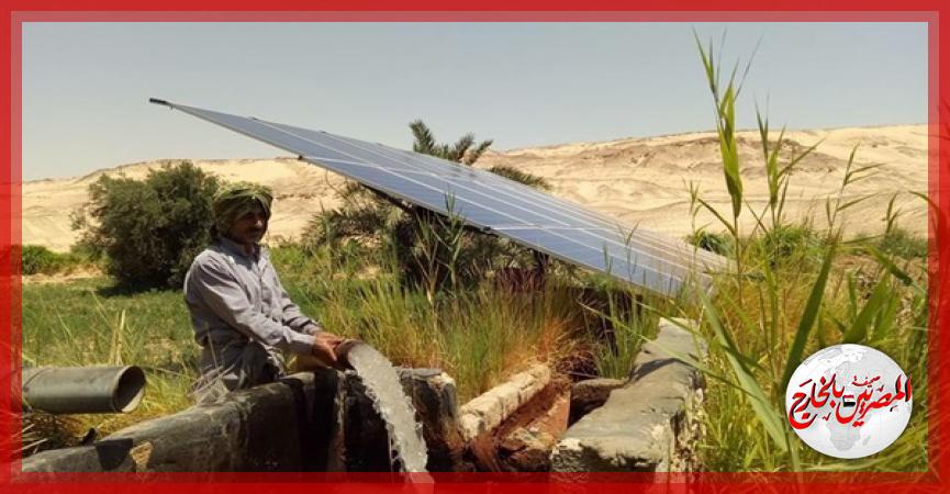 المصريين بالخارج