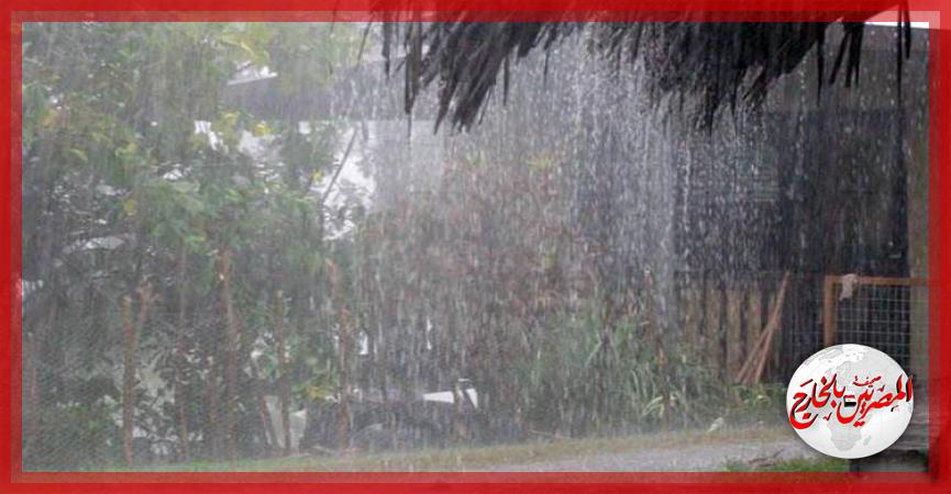 المصريين بالخارج