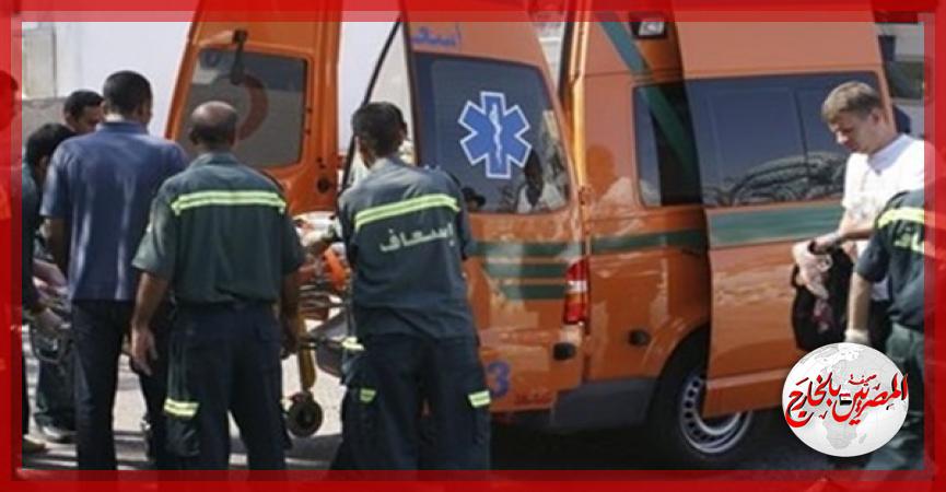 المصريين بالخارج