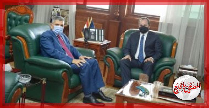 المصريين بالخارج