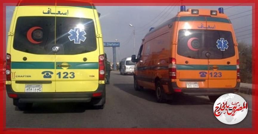 المصريين بالخارج