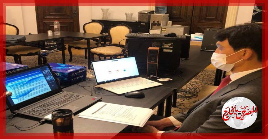 المصريين بالخارج