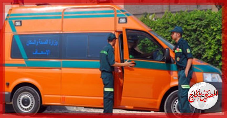 المصريين بالخارج