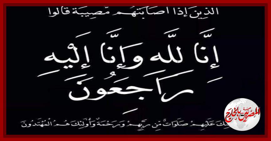 المصريين بالخارج