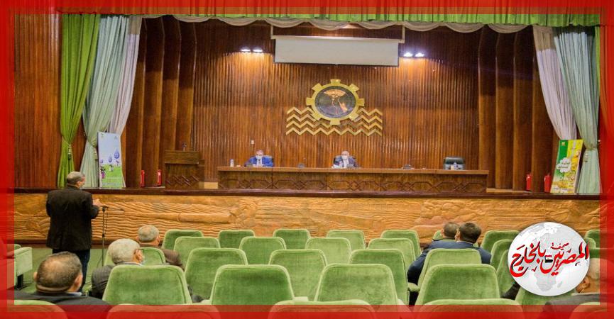 المصريين بالخارج