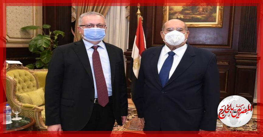 المصريين بالخارج