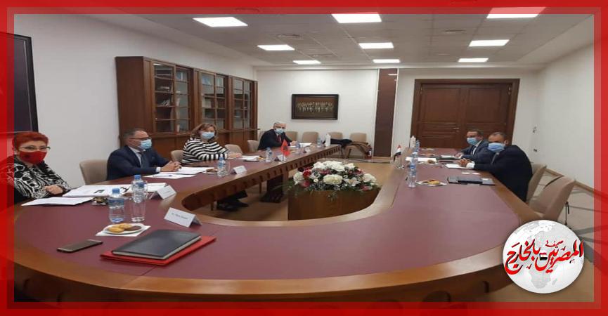 المصريين بالخارج