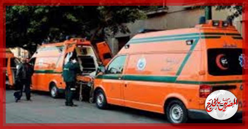 المصريين بالخارج