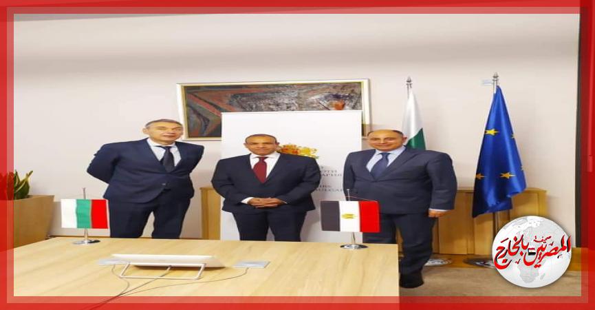 المصريين بالخارج