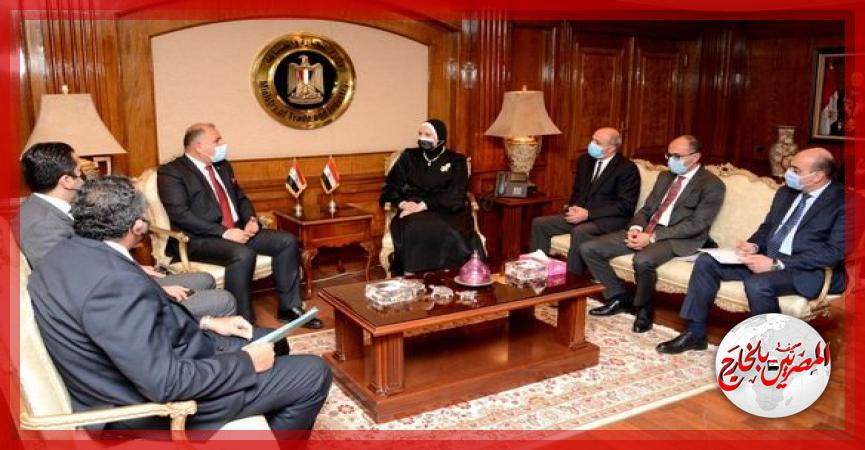 المصريين بالخارج