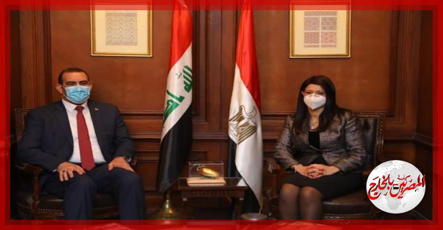 المصريين بالخارج