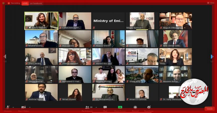 المصريين بالخارج