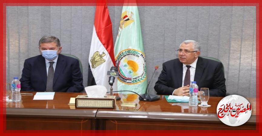 المصريين بالخارج