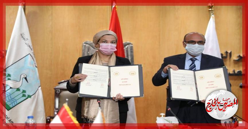 المصريين بالخارج