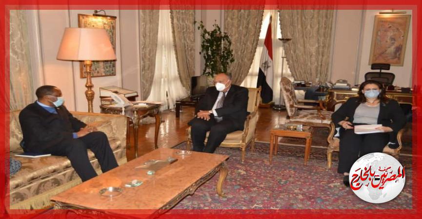 المصريين بالخارج