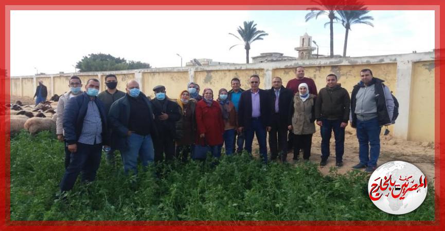 المصريين بالخارج