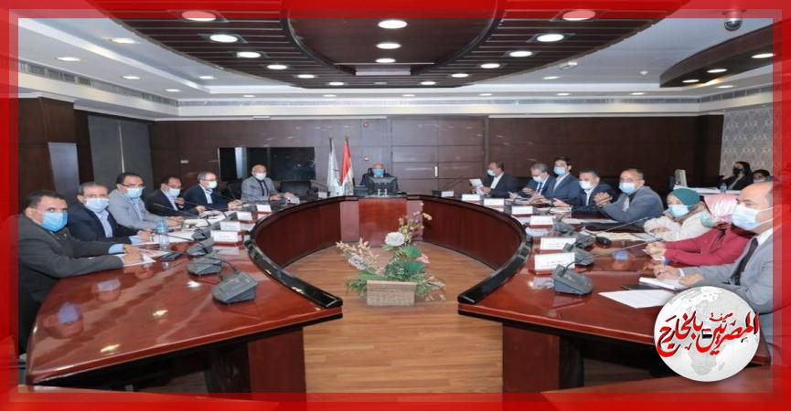 المصريين بالخارج