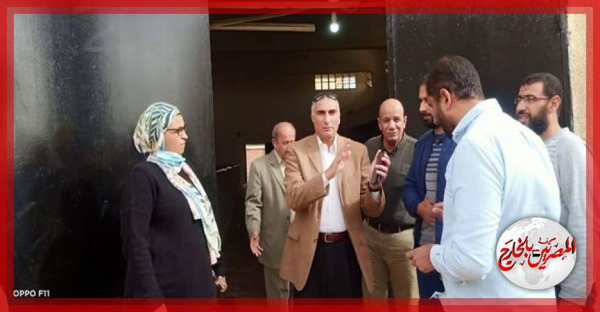 المصريين بالخارج