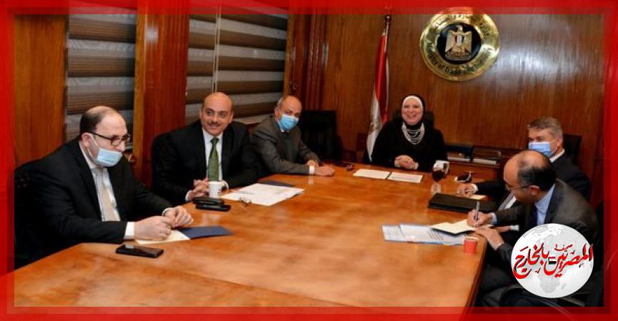 المصريين بالخارج