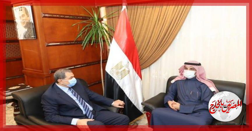 المصريين بالخارج