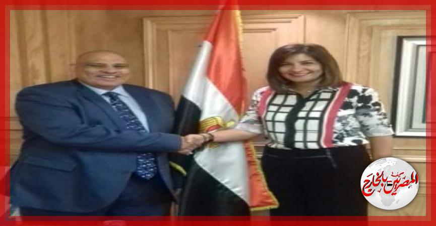 المصريين بالخارج