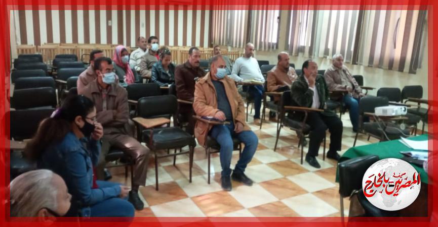 المصريين بالخارج