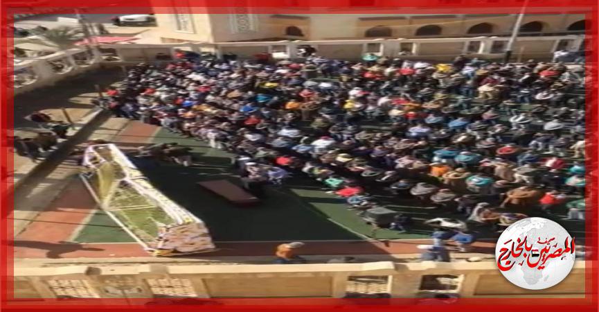 المصريين بالخارج