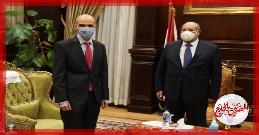 المصريين بالخارج