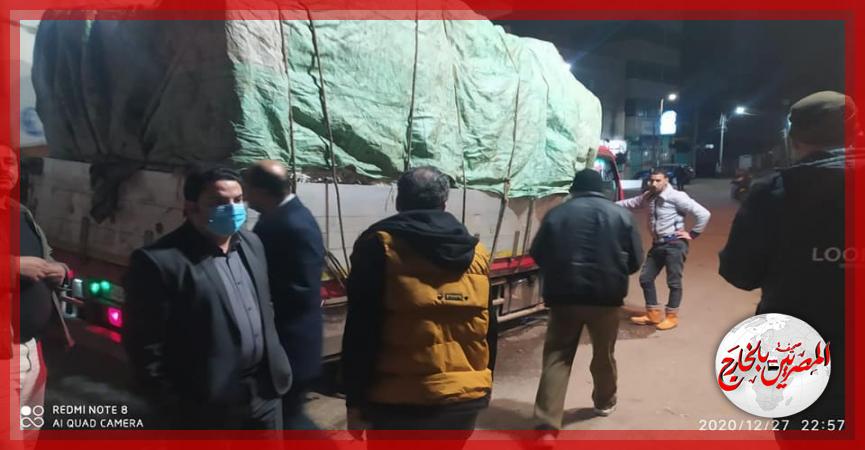 المصريين بالخارج