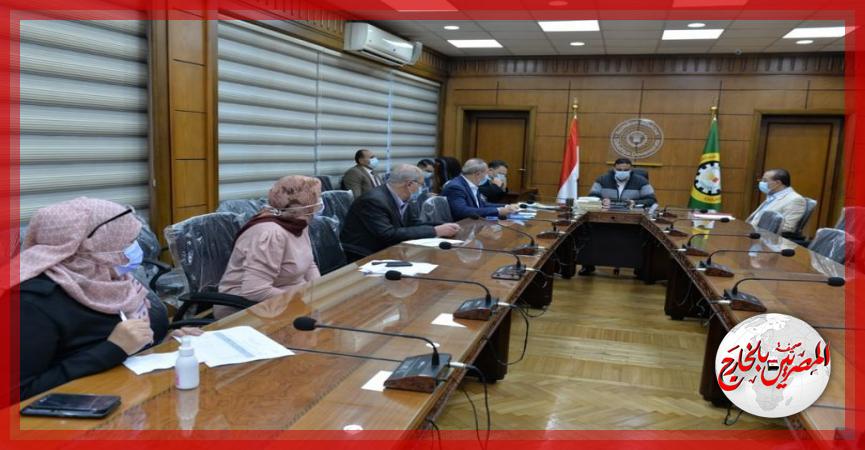 المصريين بالخارج