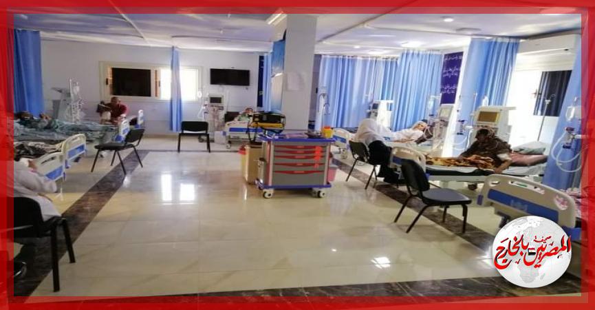 المصريين بالخارج