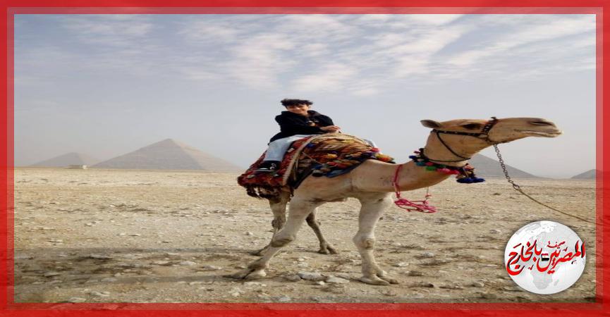 المصريين بالخارج