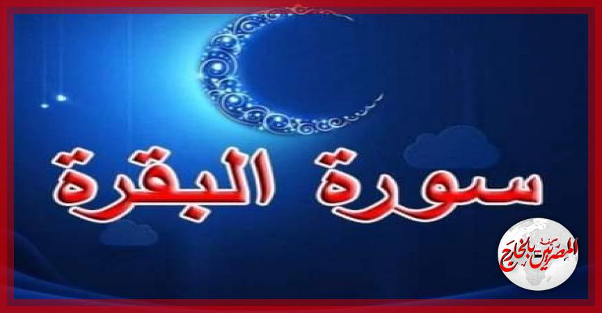 المصريين بالخارج