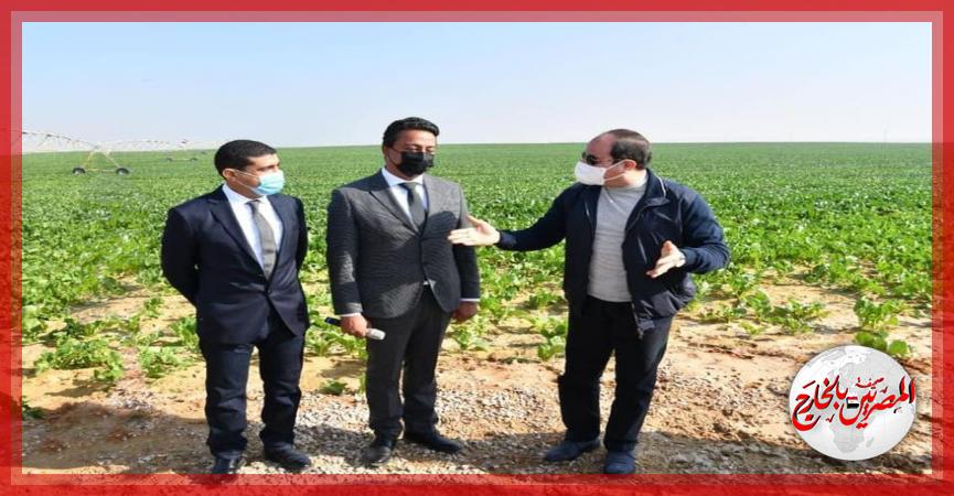 المصريين بالخارج