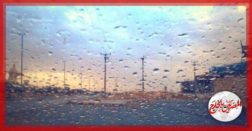 المصريين بالخارج