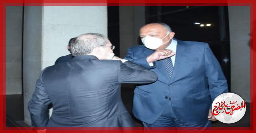 المصريين بالخارج