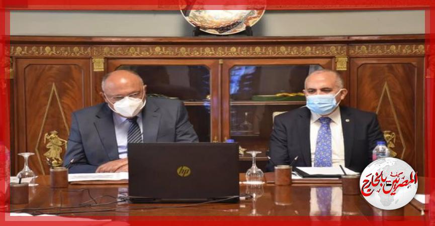 المصريين بالخارج