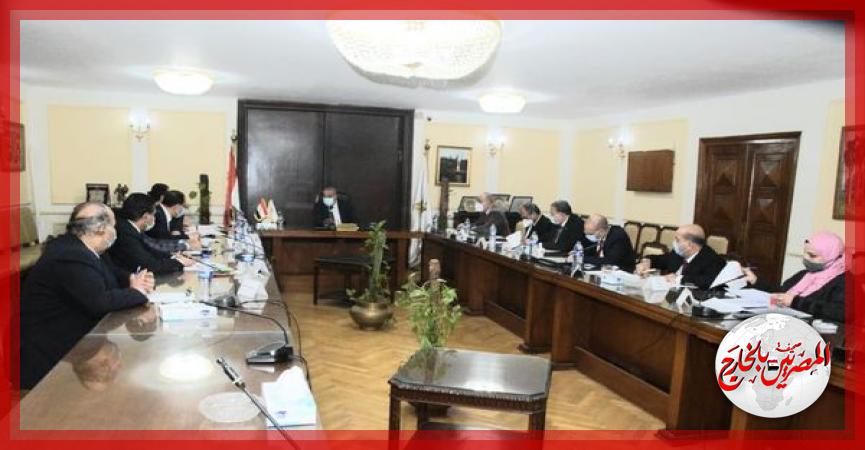 المصريين بالخارج