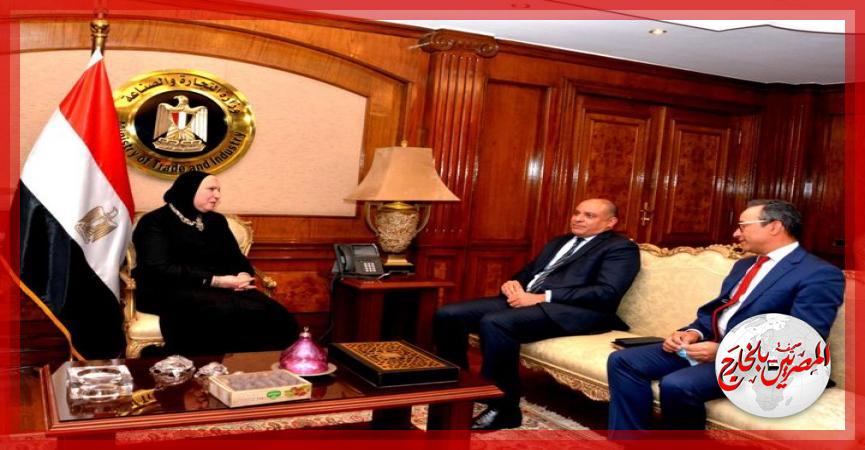 المصريين بالخارج