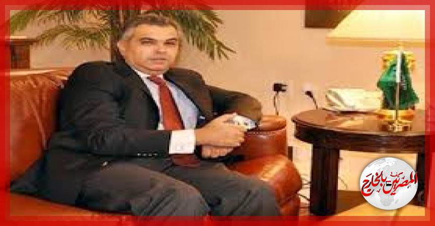 المصريين بالخارج