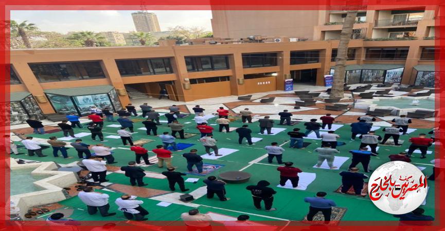 المصريين بالخارج