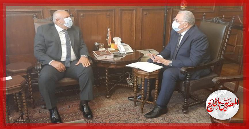 المصريين بالخارج