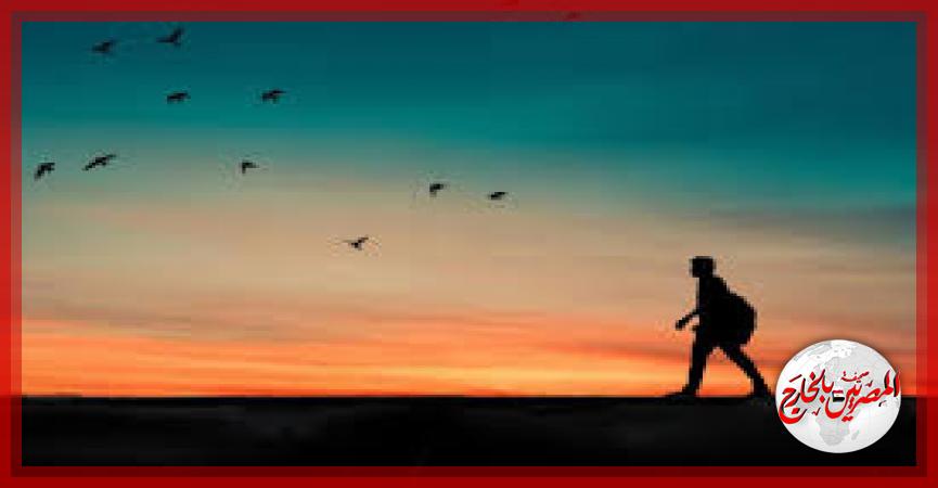 المصريين بالخارج